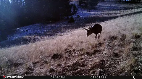 Nhn Outer Loop Road, Cascade, MT 59421 photo 19