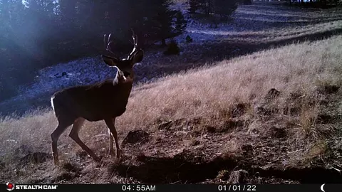 Nhn Outer Loop Road, Cascade, MT 59421 photo 40