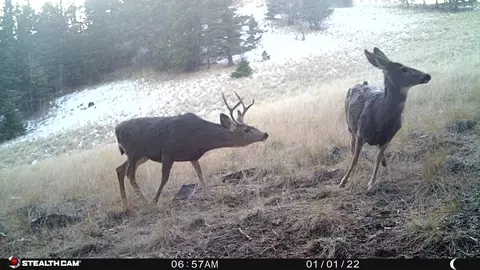 Nhn Outer Loop Road, Cascade, MT 59421 photo 36