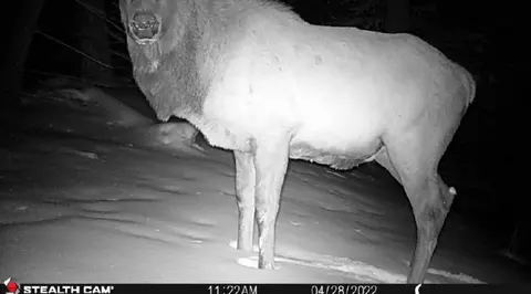 Nhn Outer Loop Road, Cascade, MT 59421 photo 27