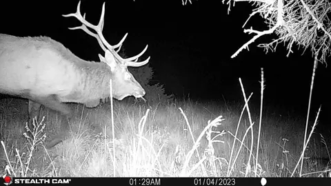Nhn Outer Loop Road, Cascade, MT 59421 photo 30
