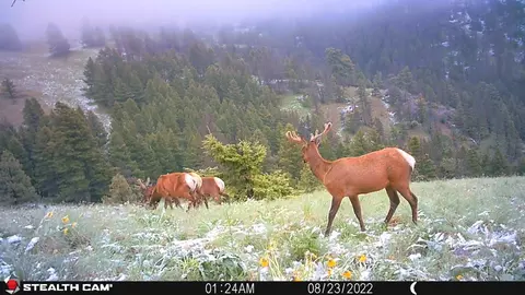 Nhn Outer Loop Road, Cascade, MT 59421 photo 20