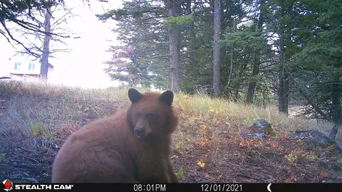 Nhn Outer Loop Road, Cascade, MT 59421 photo 35