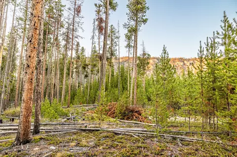 lot2 Tbd Harris Rd, Anaconda, MT 59711
