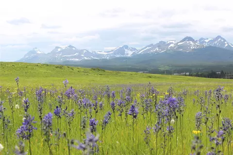 21001 Us Highway 2, East Glacier Park Village, MT 59434