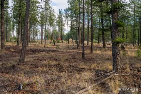 lot49 Basin Bnd, Eureka, MT 59917
