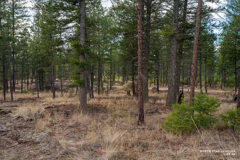 lot56 Dropping Draw, Eureka, MT 59917 photo 5