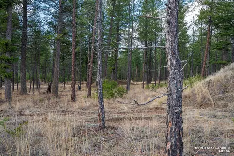 lot56 Dropping Draw, Eureka, MT 59917