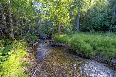Nhn Trumble Canyon Road, Columbia Falls, MT 59912