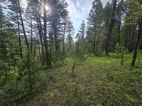 APT Johnson Quarta Lode, Philipsburg, MT 59858