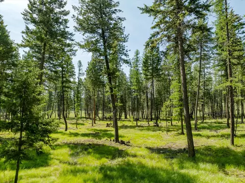 531 Northern Larch Trl #LOT 73, Kalispell, MT 59901