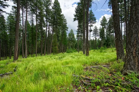 185 Rosewood Ln #LOT 14, Whitefish, MT 59937