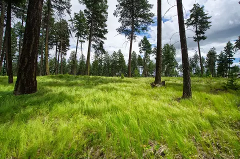 182 Rosewood Ln #LOT 15, Whitefish, MT 59937