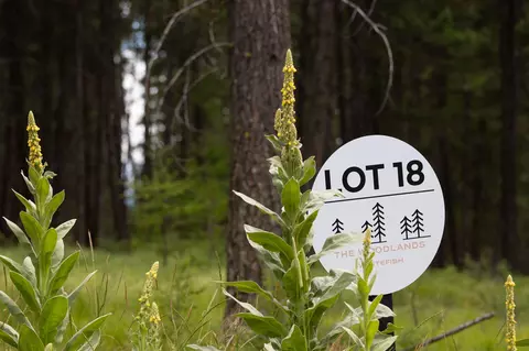 142 Rosewood Ln #LOT 18, Whitefish, MT 59937