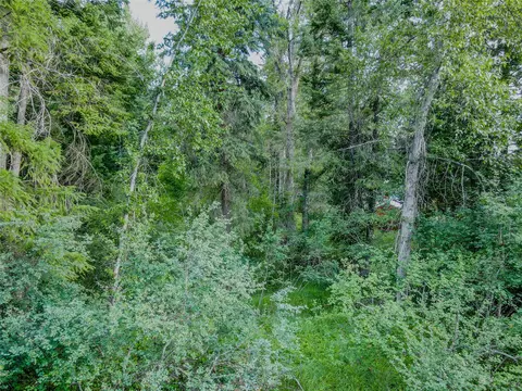 View/Area - 87 101 Evans Rd, Libby, MT 59923 photo 12 of 12