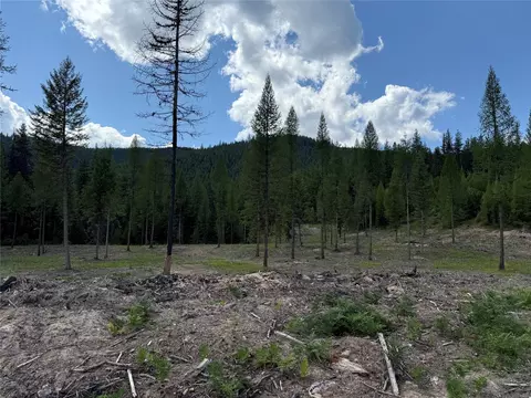 tbd Lot 10 North Schreiber Lake Subdivision, Libby, MT 59923 photo 5