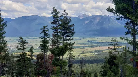 lot21 Arlee Pnes, Arlee, MT 59821