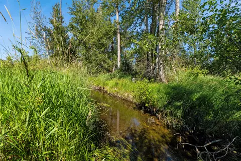 Other - 246 Otter Path Ln, Hamilton, MT 59840 photo 3 of 8