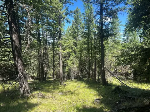 332 Racheals Meadow Ln, Kila, MT 59920