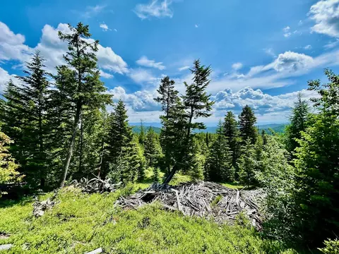 Nhn Mcmannamy Draw, Kalispell, MT 59901