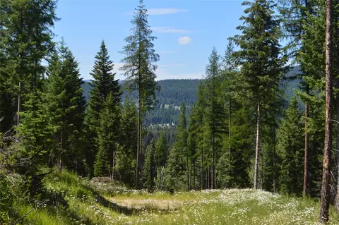 Nhn Logan Creek Road, Whitefish, MT 59937