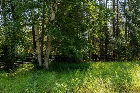 541 Alpine Dr, Bigfork, MT 59911 photo 26