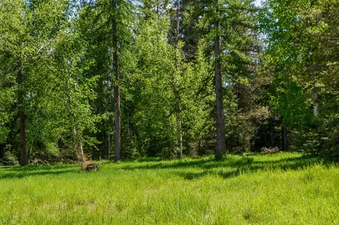 541 Alpine Dr, Bigfork, MT 59911 photo 15