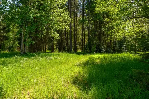 541 Alpine Dr, Bigfork, MT 59911 photo 18
