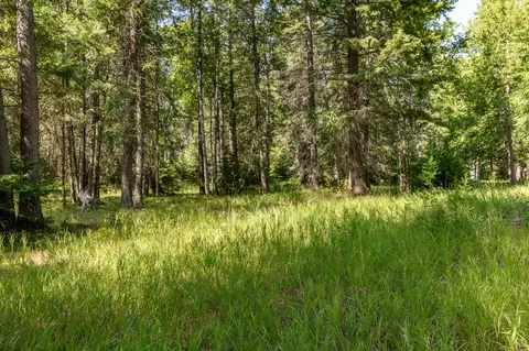 541 Alpine Dr, Bigfork, MT 59911 photo 27