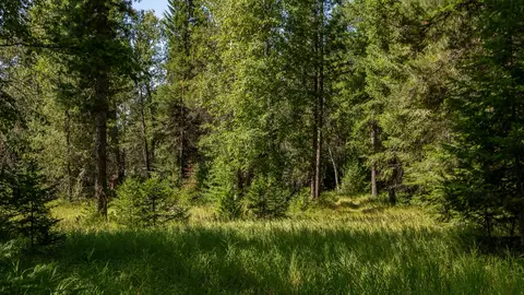 541 Alpine Dr, Bigfork, MT 59911 photo 24