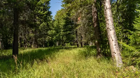 541 Alpine Dr, Bigfork, MT 59911 photo 25