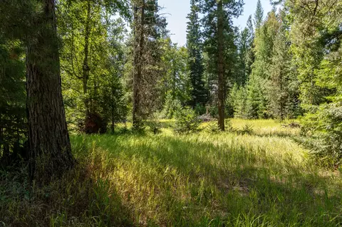 541 Alpine Dr, Bigfork, MT 59911 photo 28