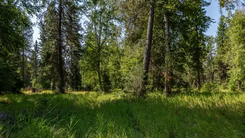 541 Alpine Dr, Bigfork, MT 59911 photo 23