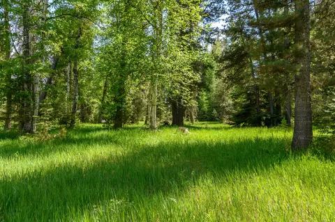 541 Alpine Dr, Bigfork, MT 59911 photo 20