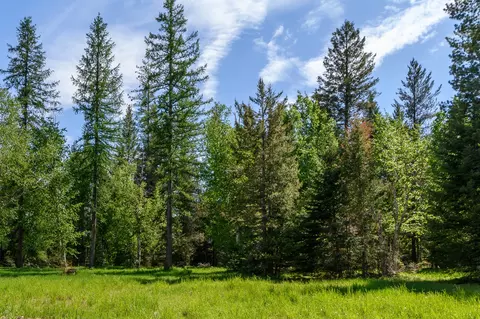 541 Alpine Dr, Bigfork, MT 59911 photo 16