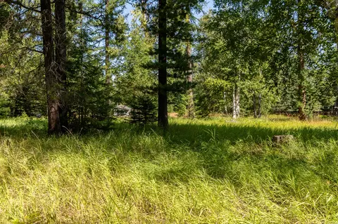 541 Alpine Dr, Bigfork, MT 59911 photo 29