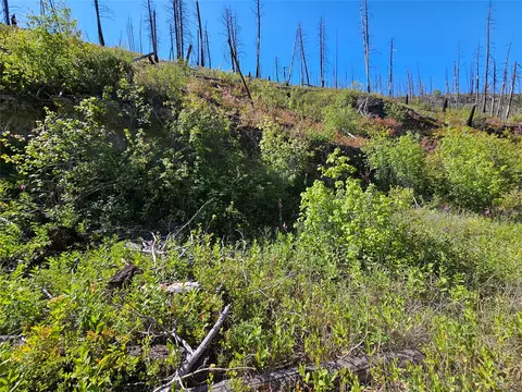 80 Upper Packer Gulch Rd, Drummond, MT 59832