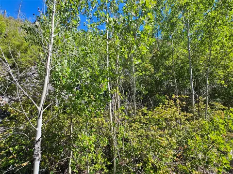 80 Upper Packer Gulch Rd, Drummond, MT 59832