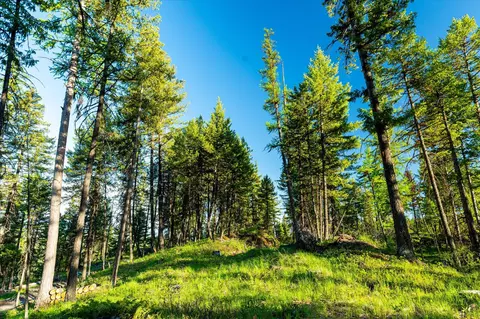 31 Forest Path Dr, Whitefish, MT 59937 photo 81