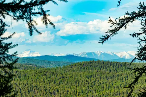 31 Forest Path Dr, Whitefish, MT 59937 photo 4