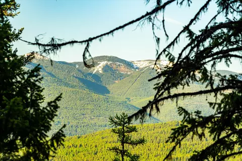 31 Forest Path Dr, Whitefish, MT 59937 photo 83