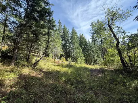 Nkn Wyant Lane, Hamilton, MT 59840
