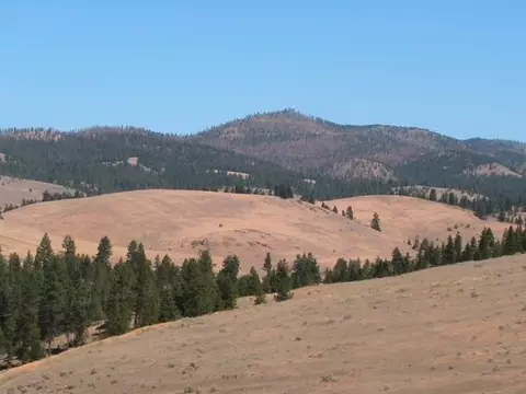 Nhn Granite Creek Road, Florence, MT 59833