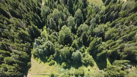 905 Freeman Ridge Rd, Troy, MT 59935
