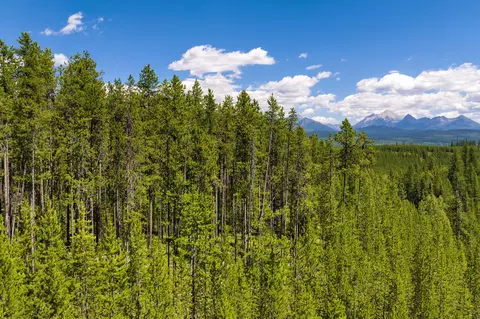 11680 N Fork Rd, Polebridge, MT 59928 photo 34