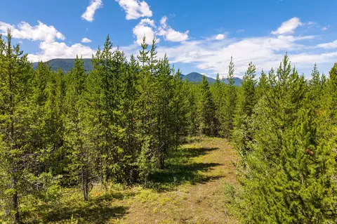 11680 N Fork Rd, Polebridge, MT 59928 photo 30