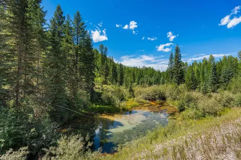 11680 N Fork Rd, Polebridge, MT 59928 photo 28