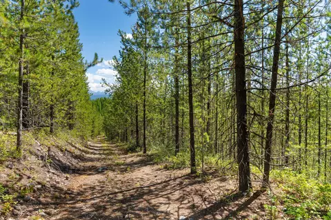 11680 N Fork Rd, Polebridge, MT 59928 photo 20