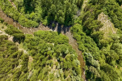 11680 N Fork Rd, Polebridge, MT 59928 photo 25
