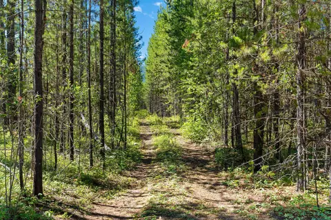 11680 N Fork Rd, Polebridge, MT 59928 photo 19